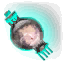 З.Проводник &gamma;